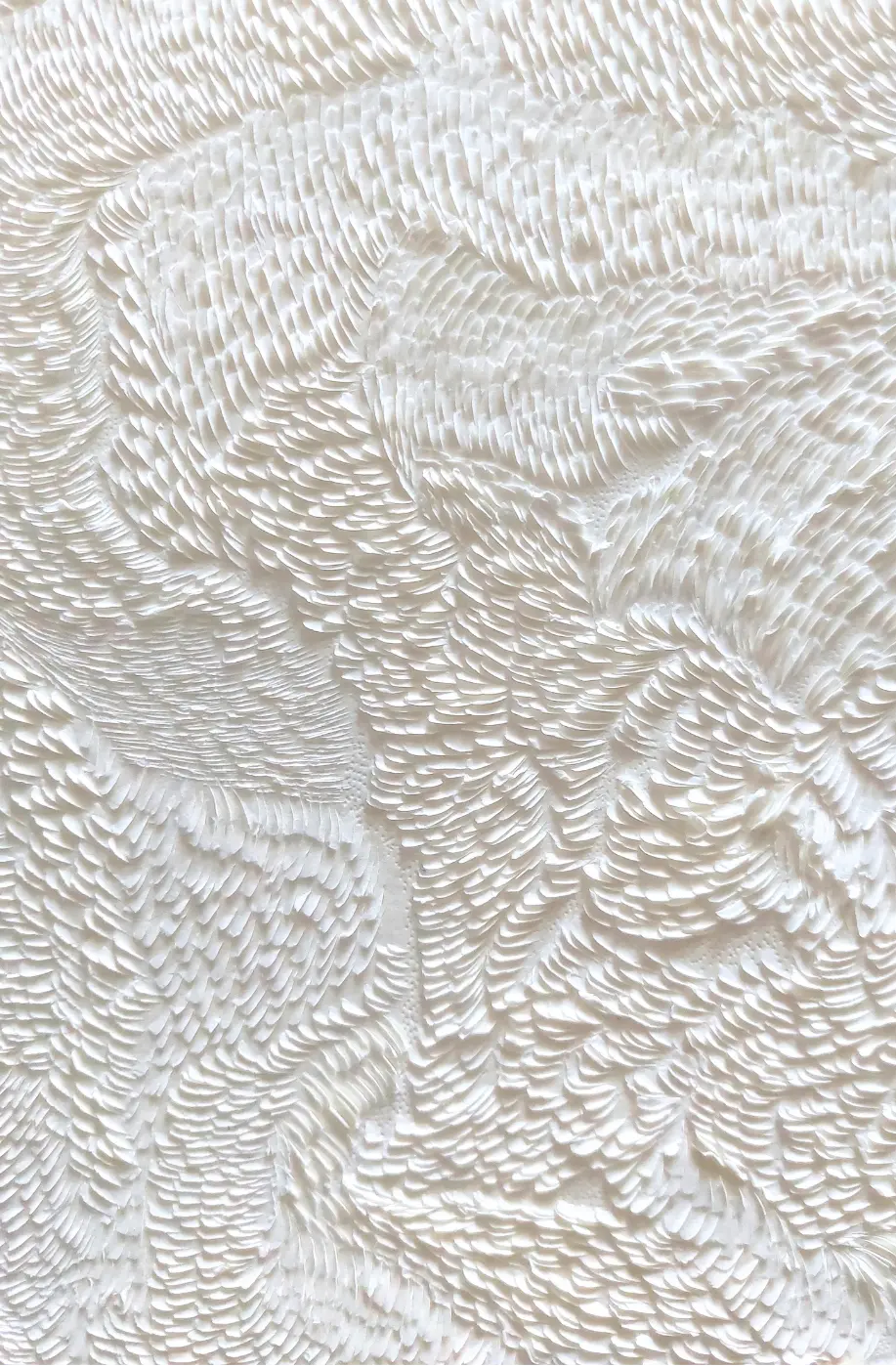 Papier scupltes Image 1